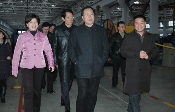 江蘇省發(fā)展和改革委員會主任、黨組書記毛偉明來上上集團(tuán)視察