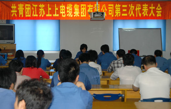 共青團(tuán)江蘇上上電纜集團(tuán)第三屆代表大會暨換屆選舉大會勝利召開