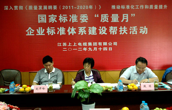 國(guó)標(biāo)委“質(zhì)量月”專家組到江蘇上上電纜集團(tuán)檢查指導(dǎo)工作